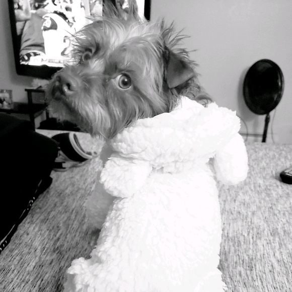 Meet your Posher, Kayla - Picture 1 of 1